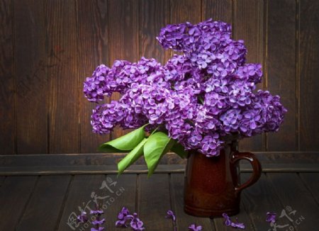 紫丁香插花图片