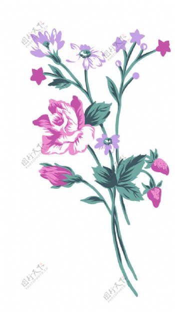 花纹植物花类PSD图片