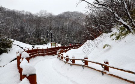 日本地狱谷温泉图片