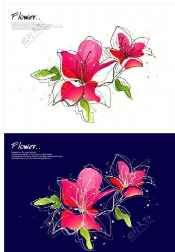 手绘花卉花卉矢量图片