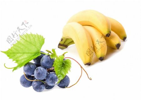 蓝莓香蕉图片