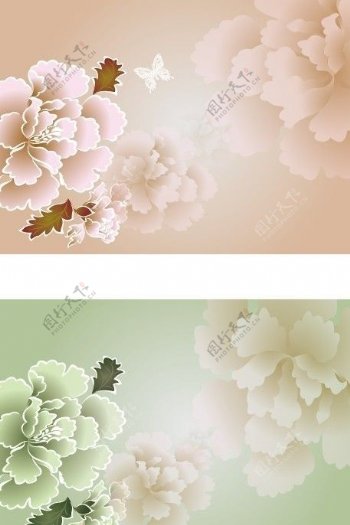 时尚牡丹花卉图片