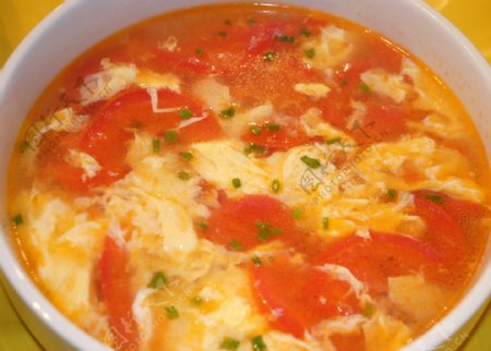 西红柿蛋汤图片