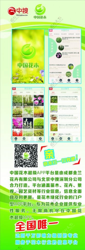 中国花木展架图片