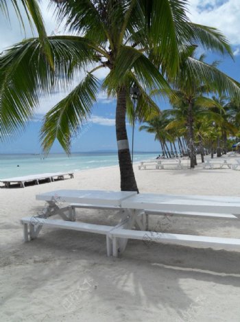菲律宾庞劳岛海滩日光照图片