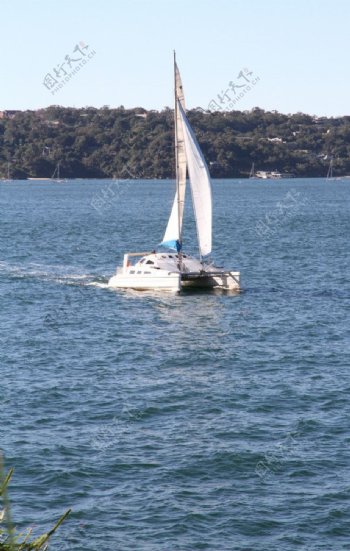 悉尼帆船图片