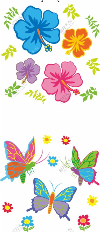 花朵蝴蝶图片