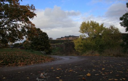 北欧乡村道路图片