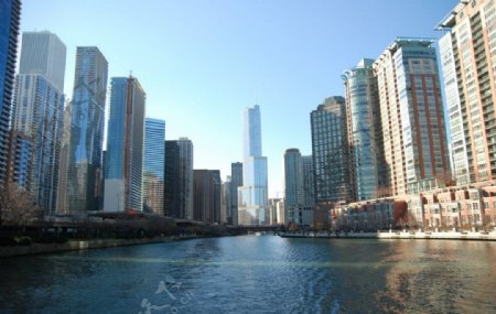 芝加哥天际线图片