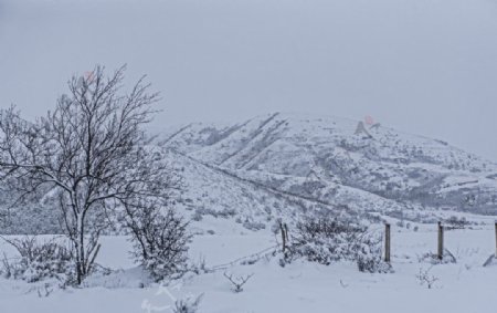 冰天雪地郊外风景图片