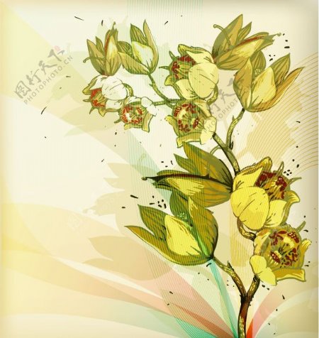 手绘时尚花卉矢量素材图片