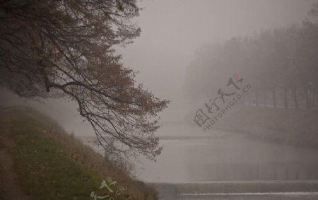 米利亚河的迷雾图片