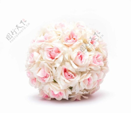 粉色玫瑰花球特写图片