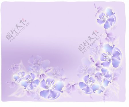 梦幻紫色花图片