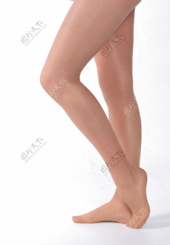 性感少女腿图片