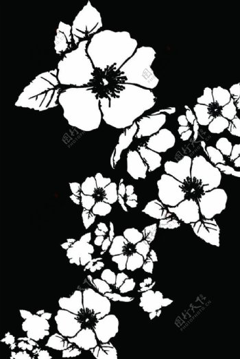 黑白花纹图片