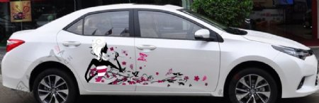 花卉卡通人物汽车彩图片