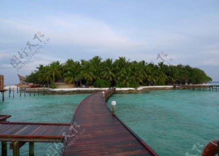 马尔代夫美人蕉岛图片
