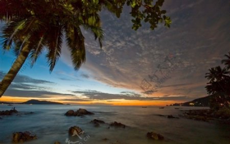 晨曦中的泰国巴东棕榈海滩图片