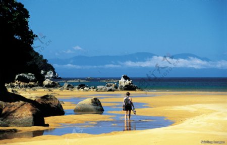 新西兰海岸图片