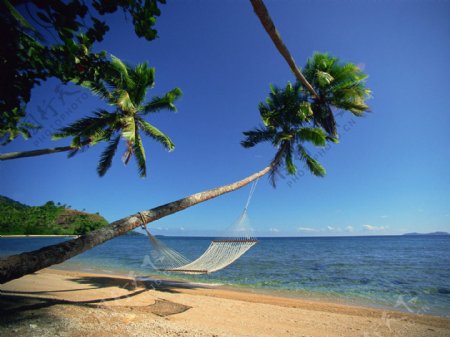 斐济海边吊床图片
