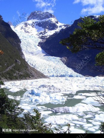 智利Serrano冰川图片