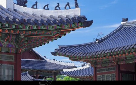 韩国景福宫的屋顶图片