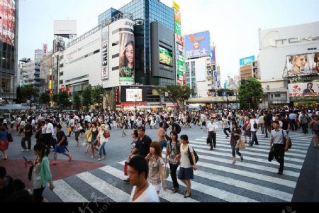 十字路口的涩谷站图片