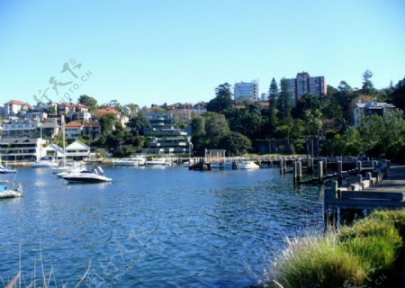 悉尼港湾图片