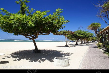 峇里島沙灘图片
