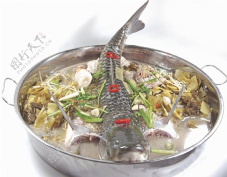 酸菜鲩鱼图片