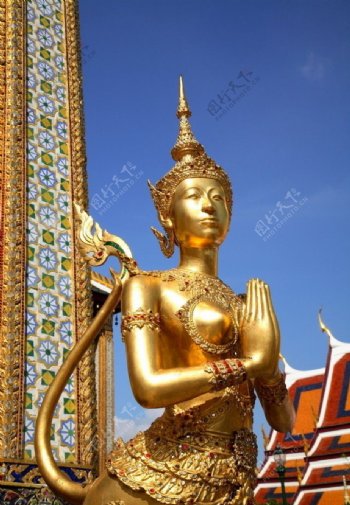 泰国佛象金色图片