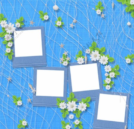 花卉电子相框图片