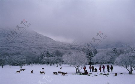 韩国济州风光图片