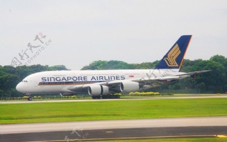 新加坡樟宜机场A380图片