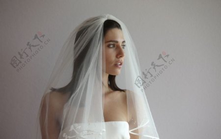 婚纱新娘图片