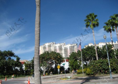佛罗里达州街景图片