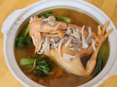 菌菇土鸡汤青菜土鸡煲图片