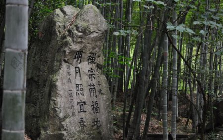 竹林石碑图片