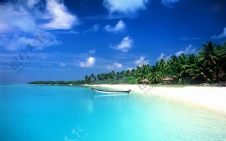 沙滩椰林小船图片