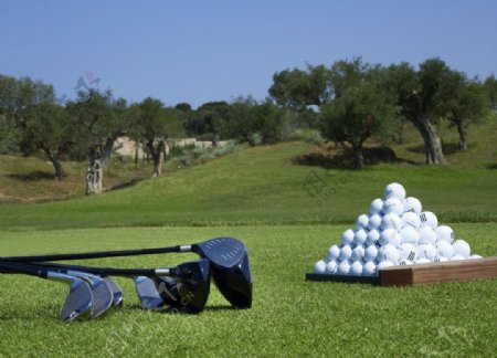 高尔夫球场景图片