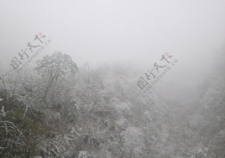 西岭雪山雪景图片