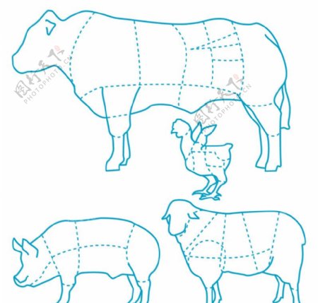 牛猪羊鸡食用分布图图片