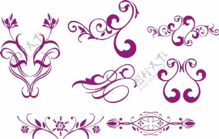 紫色精美花纹图片