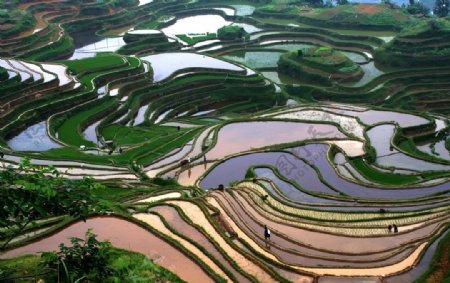 田园风景图片