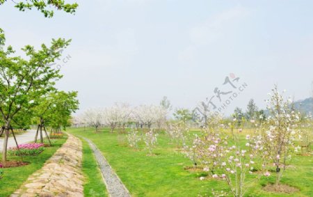 辰山植物园图片