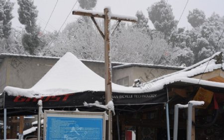 龙泉山雪景自然风光图片
