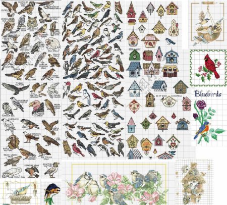 十字绣鸟类图谱图片