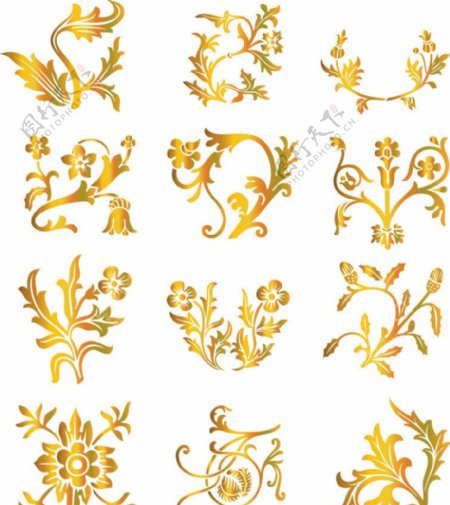 线条金色花纹花朵装饰矢量图片