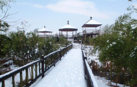 下渚湖雪景图片